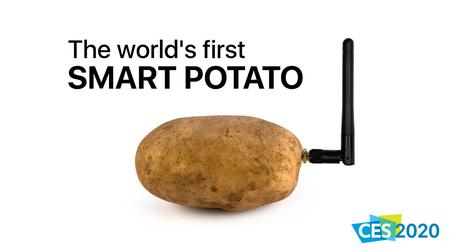 І таке буває: на виставку CES 2020 привезли пристрій для спілкування... з картоплею