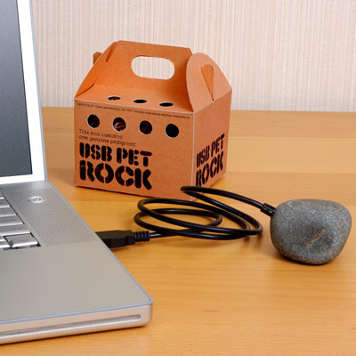 USB_PetRock1.jpg