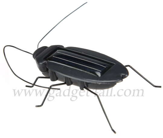 SolarCockroach1.jpg