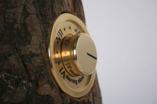 WoodpeckerAlarm04.jpg