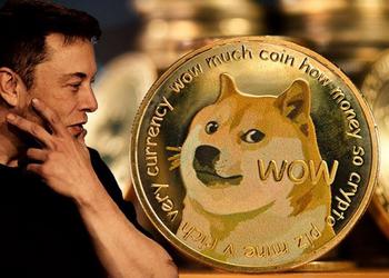Dogecoin подорожал на 26% после публикации фотографии собаки Илона Маска в Twitter