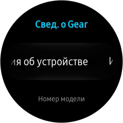  Samsung Gear Sport:      -17