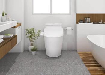 Xiaomi Smart Toilet Cover AI Version: еще одна «умная» крышка для унитаза и теперь с голосовым управлением