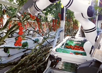 Робот швейцарского стартапа Floating Robotics собирает урожай томатов в теплицах (видео)