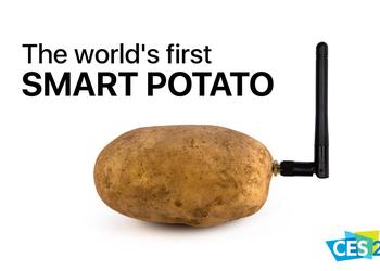 И такое бывает: на выставку CES 2020 привезли устройство для общения… с картошкой