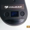 cougar-surpassion-21.jpg