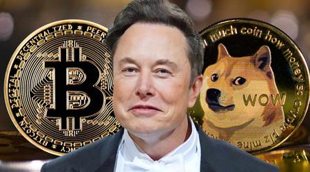 Musk domaga się oddalenia pozwu o 258 dolarów, w którym oskarża się go o prowadzenie piramidy finansowej i manipulowanie kursem Dogecoin