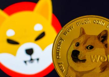 Маск заменил логотип Twitter на собаку-маскота Dogecoin, чем поднял стоимость криптовалюты
