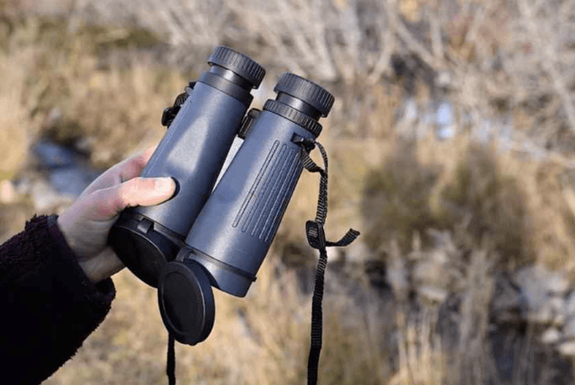 Bushnell H2O 10x42 binoculars for safari