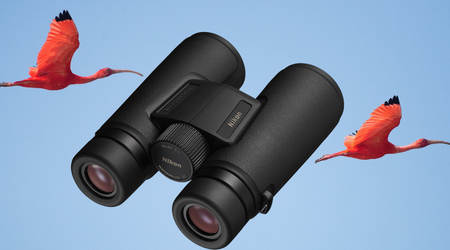 Best Compact Binoculars for Birding
