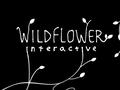 post_big/Wildflower-Interactive-cover-800x450.jpg