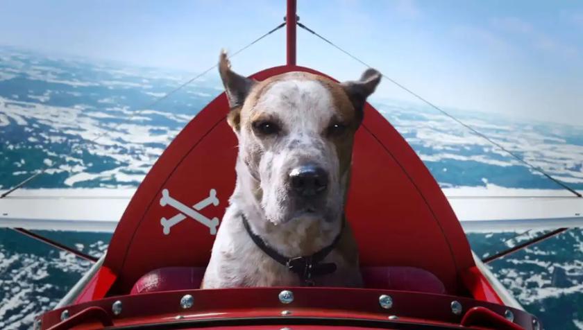 Microsoft снял рождественскую рекламу о собаках в Halo и Minecraft: получилось немного грустно и трогательно