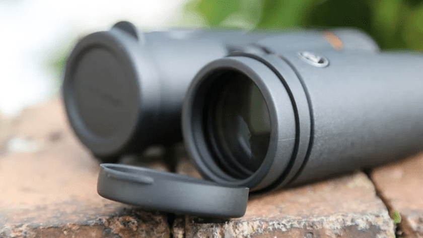 Celestron TrailSeeker 8x42 binoculars for safari