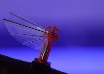 ASELSAN представила разведывательный микро-дрон, который напоминает стрекозу