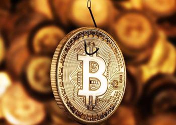 Неизвестный криптоинвестор потерял $1 100 000, отправив мошенникам 26 Bitcoin