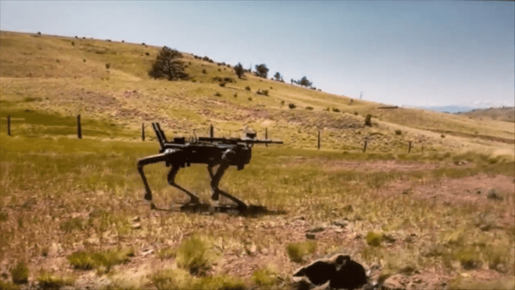 Robothunder med automatgevær blir evaluert av ...