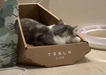 Похоже, Tesla украла дизайн лежанки для котов «в стиле Cybertruck» у тайваньской компании