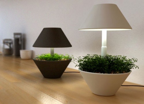 LightPot: настольная лампа и цветочный горшок в одном флаконе-2