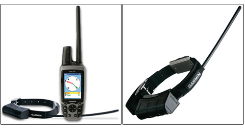 Garmin Astro 220 – GPS-ошейник для охотничьей собаки
