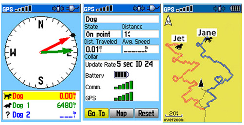 Garmin Astro 220 – GPS-ошейник для охотничьей собаки-2