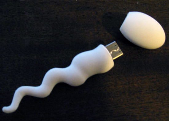 USB-флешка в качестве сперматозоида