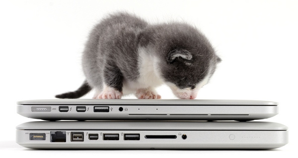Разборка MacBook Pro Retina 13 силами iFixit и... котёнка-3