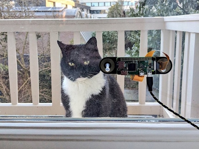The programmer created a system for recognizing the cat's muzzle