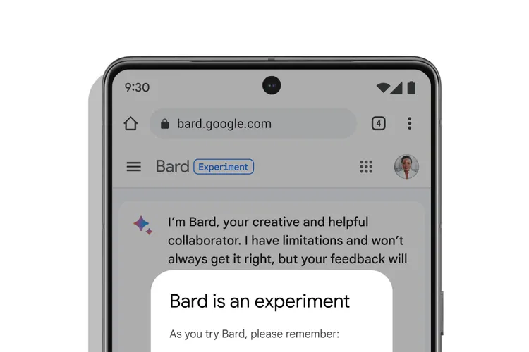 Google's lancering van de Bard chatbot in de EU uitgesteld vanwege zorgen over privacy