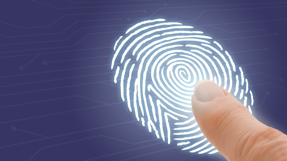 In the next flagship Huawei will be a subscreen fingerprint scanner