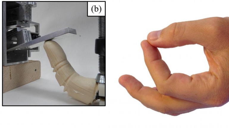Роботы получат пальцы, которые выглядят и функционируют как пальцы человека