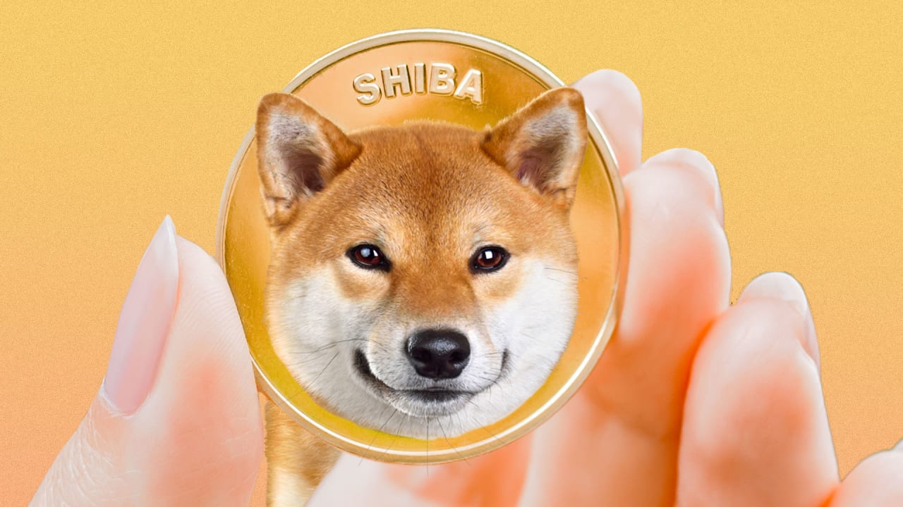 The user sold the house, bought 4 billion Shiba Inu tokens and is waiting for their price to increase 2538 times
