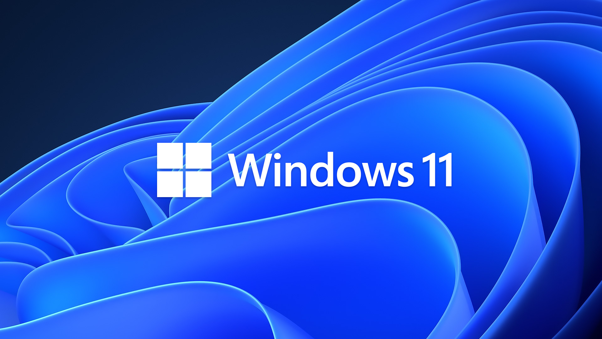Windows 11 commence à gagner en popularité
