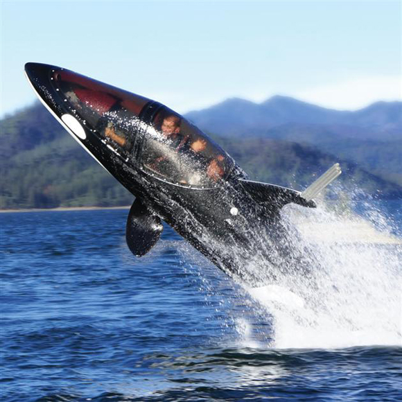 Подводный скутер в форме косатки за $100 000-2