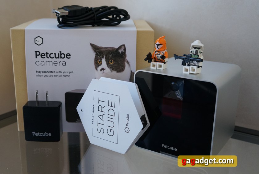 Мимими в кубе: обзор Petcube — Wi-Fi-камеры для домашних питомцев-3