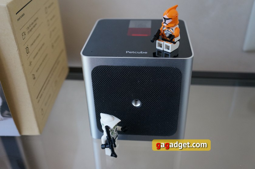 Мимими в кубе: обзор Petcube — Wi-Fi-камеры для домашних питомцев-6