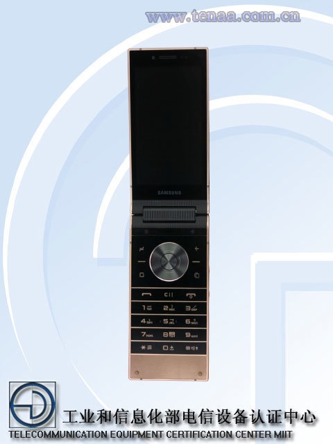 Samsung W2019-TENAA.jpg