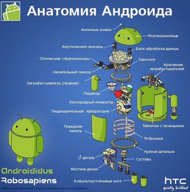 Инфографика: из чего состоит Android-2