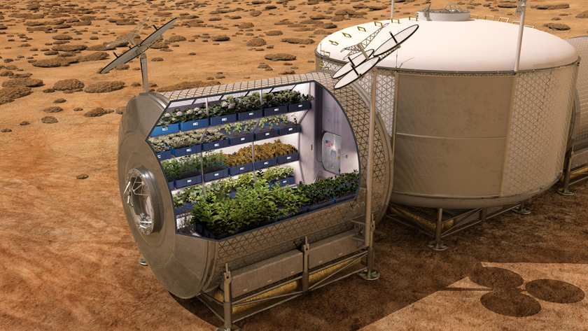 Астронавты на МКС собрали пригодный для употребления урожай космического салата-2