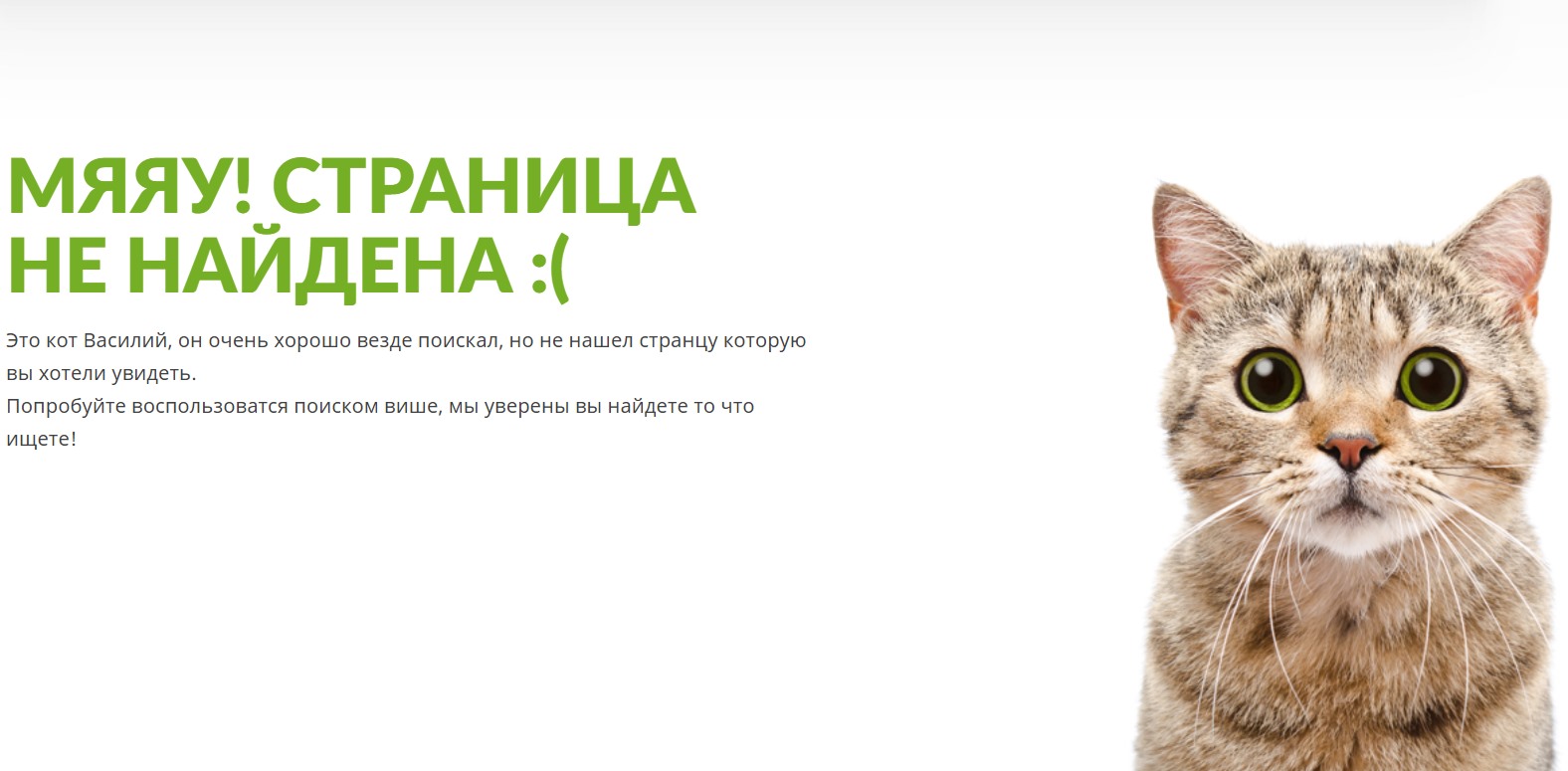 new-privatbank-design-cat.jpg