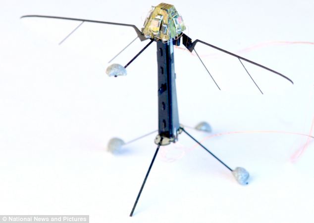 Robo-Fly: самый миниатюрный летающий робот с «глазами»-2