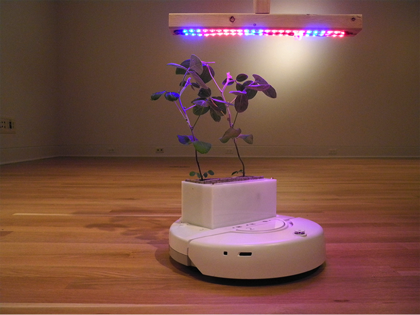 Робот-вазон ищет свет для своего растения