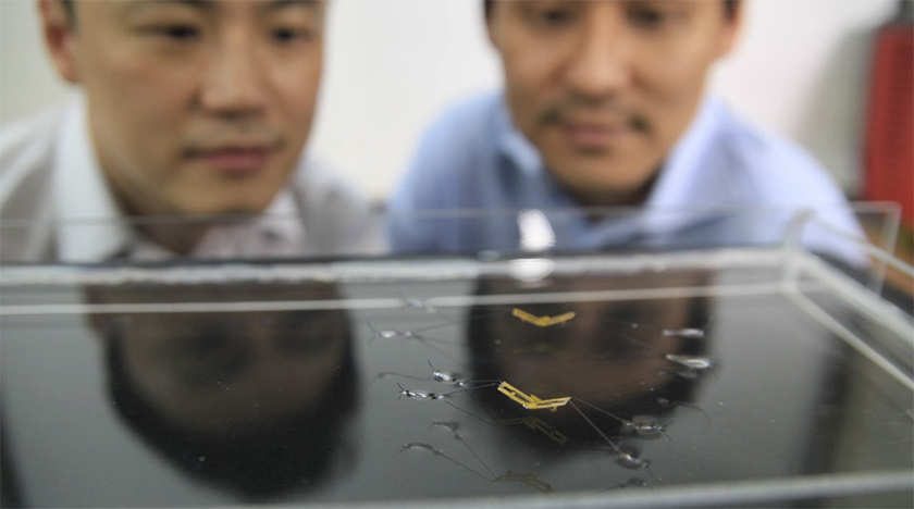 Ученые создали миниатюрного робота-водомерку (видео)