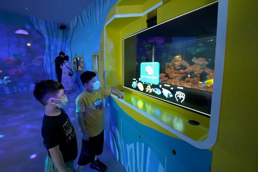 Smart aquarium with AI and microLED display tracks looks and tells visitors about the fish they are looking at
