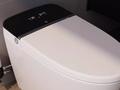 post_big/xiaomi-DIIB-supercharged-smart-toilet-.jpg