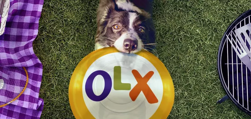 В 2017 году украинцы искали на OLX велосипеды, iPhone и диваны 