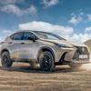 Lexus NX Overtrail чорний декор