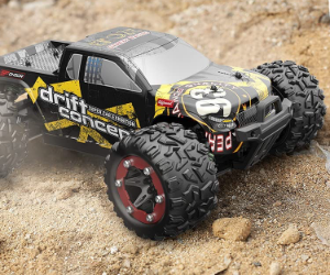 DEERC ‎300E Brushless RC Cars