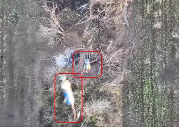 Дрон бригады нацполиции "Хищник" уничтожает квадрокоптер-бомбер сбросом сверху (видео)