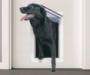 PERFECT PET The All-Weather Energy Efficient Dog Door