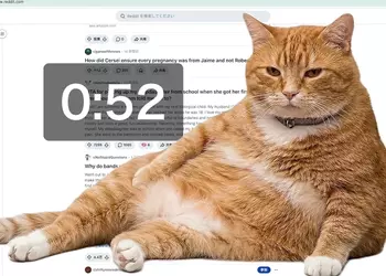 Этот кот нужен каждому! Расширение Cat Gatekeeper для Chrome не даст засиживаться в соцсетях